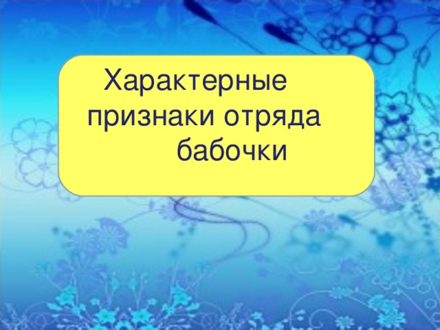  Характерные признаки отряда бабочки 