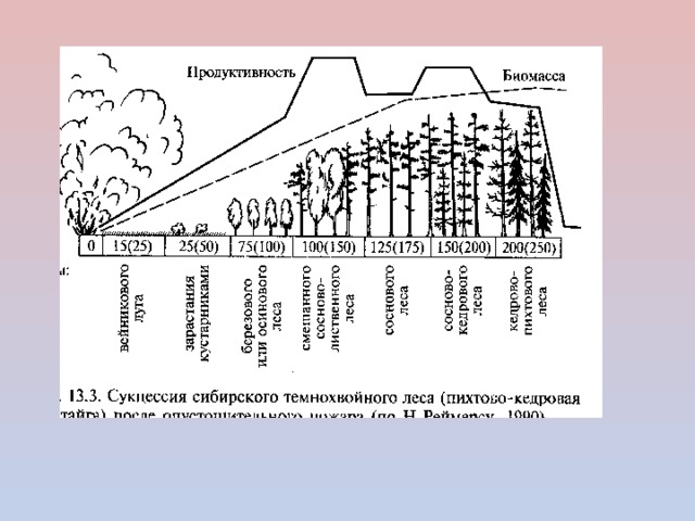 Сформировавшаяся в процессе вторичной сукцессии дубрава как показано на рисунке будет являться