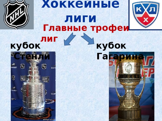 Хоккейные лиги  Главные трофеи лиг  кубок Стенли  кубок Гагарина 