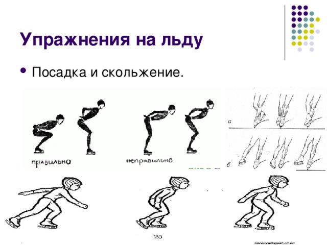 Схема образования навыка катания на коньках