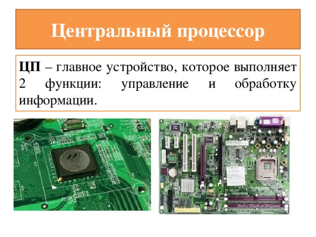Центральный процессор ЦП – главное устройство, которое выполняет 2 функции: управление и обработку информации. 