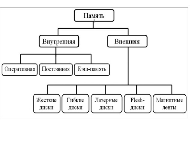 Заполните схему виды памяти