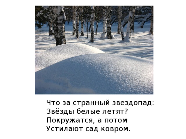 Что за странный звездопад: Звёзды белые летят? Покружатся, а потом Устилают сад ковром. 