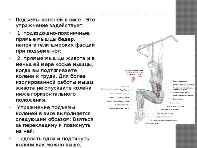 Подъем надо. Поднятие колен в висе техника. Схема тренировки в подъём ног. Подъем коленей в висе на турнике. Подъем согнутых ног в висе на перекладине.