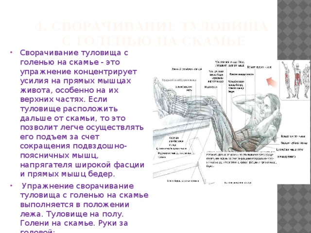 Комплекс упражнений крокодил для позвоночника в картинках и описание