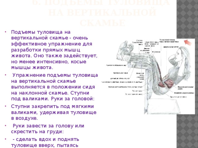 Упражнения поднимания туловища