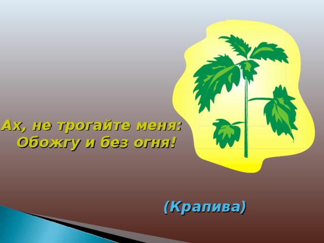 . Ах, не трогайте меня:  Обожгу и без огня! (Крапива) 