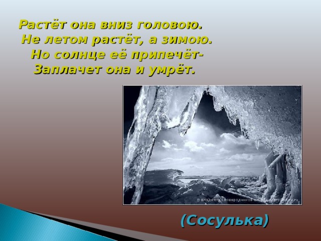  Растёт она вниз головою.  Не летом растёт, а зимою.  Но солнце её припечёт-  Заплачет она и умрёт. (Сосулька) 