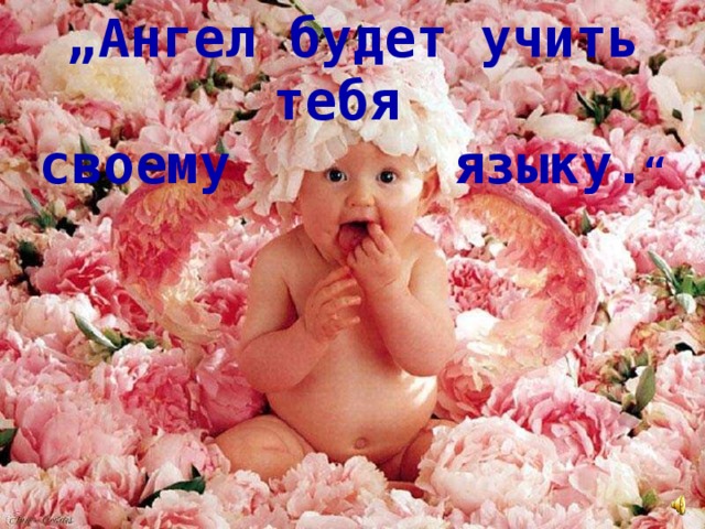 „ Ангел будет учить тебя своему языку. “ 