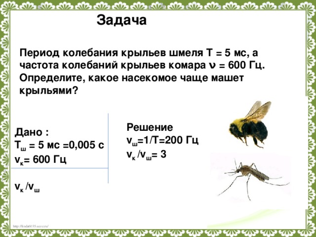 Задача Период колебания крыльев шмеля T = 5 мс, а частота колебаний крыльев комара ν = 600 Гц. Определите, какое насекомое чаще машет крыльями? Решение v ш =1/Т=200 Гц v к /v ш = 3   Дано : T ш  = 5 мс =0,005 c v к = 600 Гц  v к /v ш 