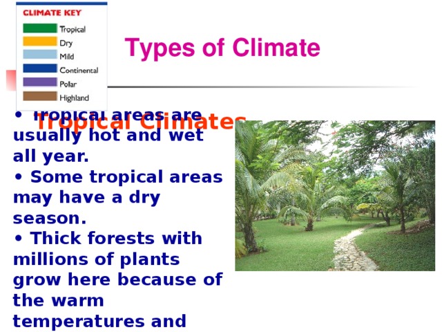 Types of Climate  • Tropical areas are usually hot and wet all year. • Some tropical areas may have a dry season. • Thick forests with millions of plants grow here because of the warm temperatures and rain. Tropical Climates  