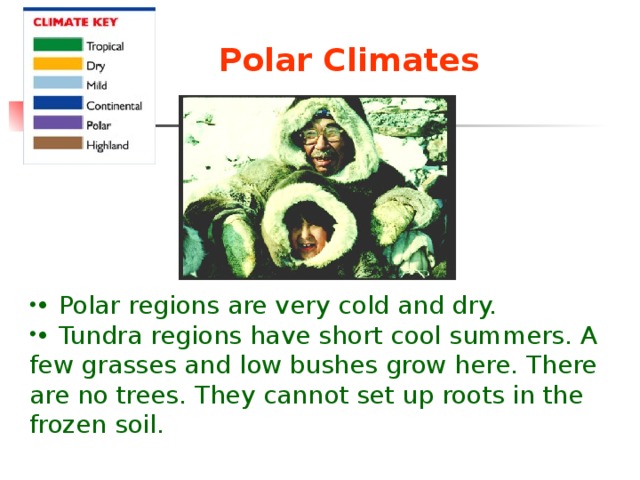 Polar Climates  • Polar regions are very cold and dry. • Tundra regions have short cool summers. A few grasses and low bushes grow here. There are no trees. They cannot set up roots in the frozen soil. 