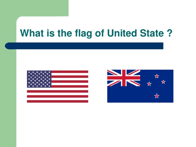 What is the flag of United State ? 