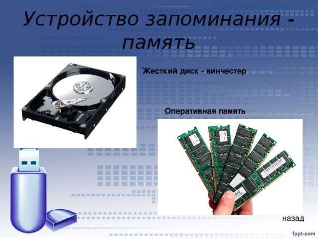 Презентация по информатике "Назначение и устройство компьютера ...