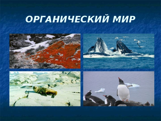 ОРГАНИЧЕСКИЙ МИР 