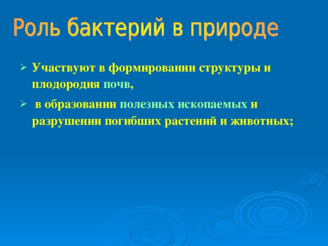 Участвуют в формировании структуры и плодородия почв ,  в образовании полезных ископаемых и разрушении погибших растений и животных;  