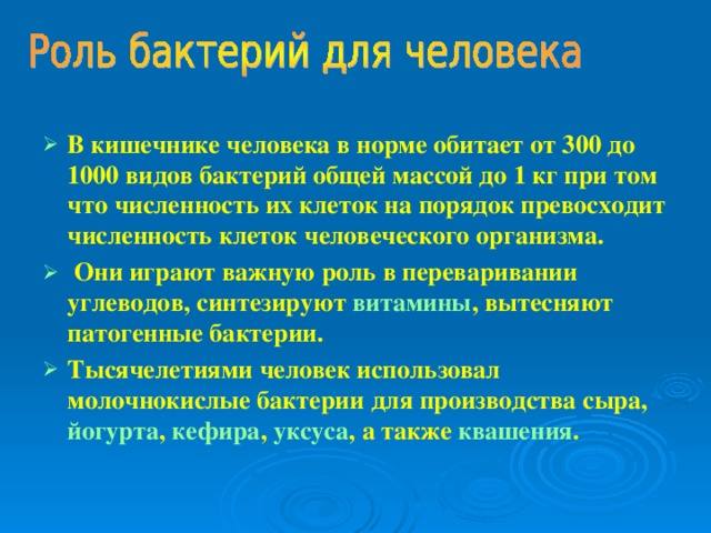 В кишечнике человека в норме обитает от 300 до 1000 видов бактерий общей массой до 1 кг при том что численность их клеток на порядок превосходит численность клеток человеческого организма.  Они играют важную роль в переваривании углеводов, синтезируют витамины , вытесняют патогенные бактерии. Тысячелетиями человек использовал молочнокислые бактерии для производства сыра , йогурта , кефира , уксуса , а также квашения . 