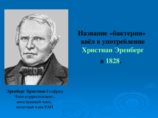  Название «бактерии» ввёл в употребление Христиан Эренберг  в 1828 . Эренберг Христиан Готфрид Член-корреспондент, иностранный член, почетный член РАН 