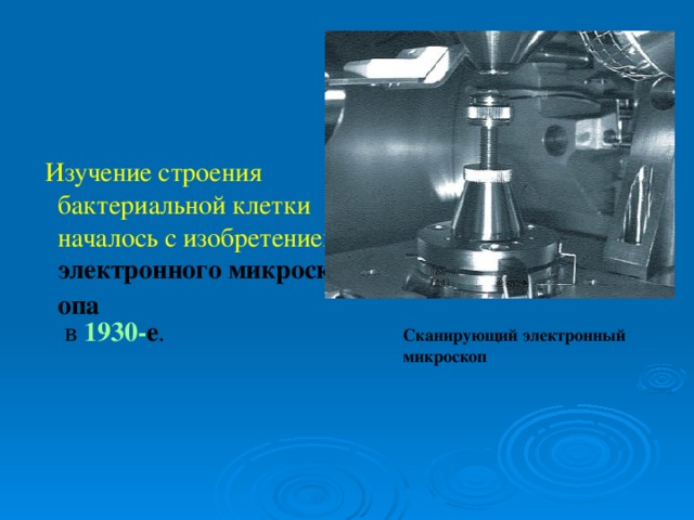  Изучение строения бактериальной клетки началось с изобретением электронного микроскопа  в 1930- е . Сканирующий электронный микроскоп 