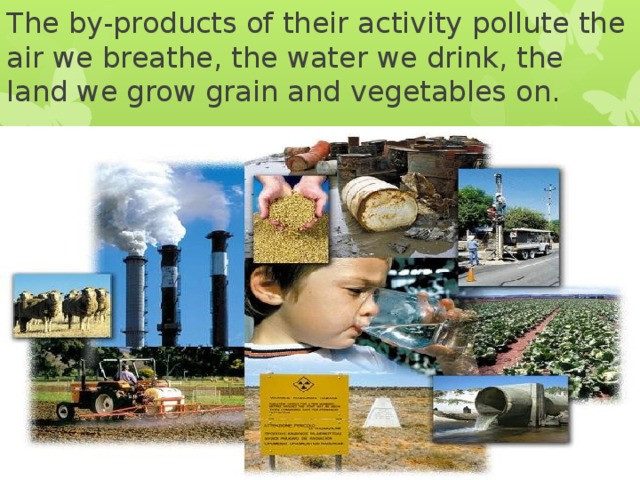 The by-products of their activity pollute the air we breathe, the water we drink, the land we grow grain and vegetables on. 