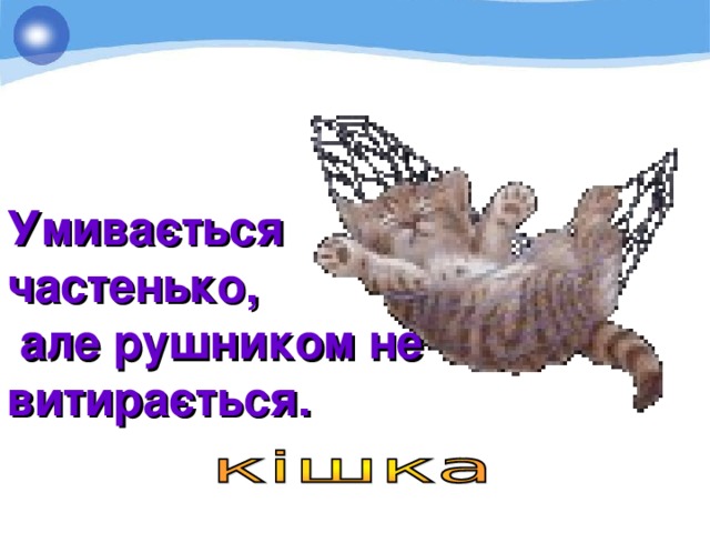 Умивається частенько,  але рушником не витирається. 