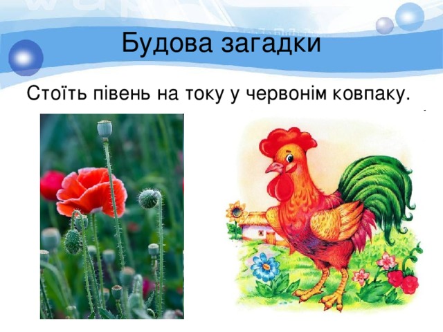 Будова загадки Стоїть півень на току у червонім ковпаку. 