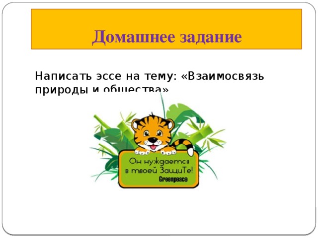 Домашнее задание Написать эссе на тему: «Взаимосвязь природы и общества» 