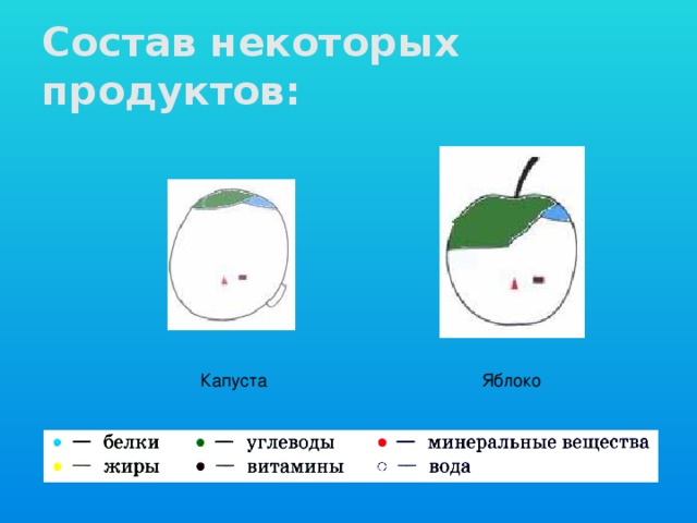 Состав некоторых продуктов: Капуста Яблоко 