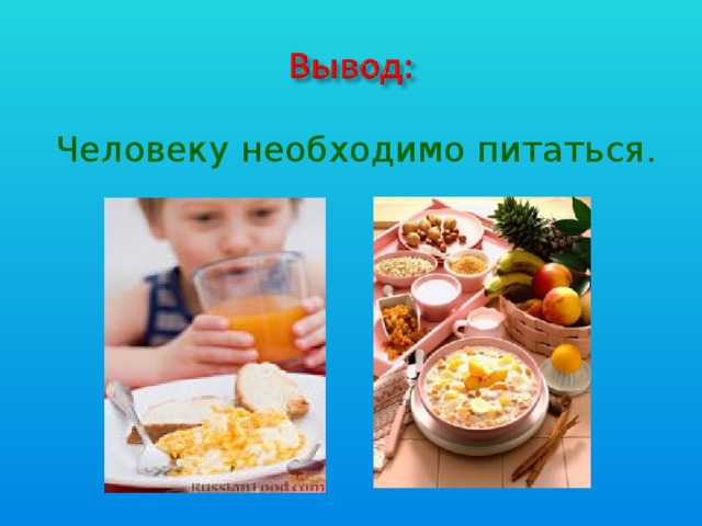 Человеку необходимо питаться.  