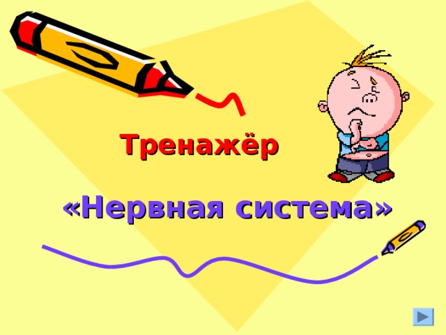 Тренажёр «Нервная система» 