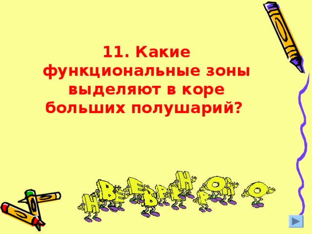 11. Какие функциональные зоны выделяют в коре больших полушарий?  