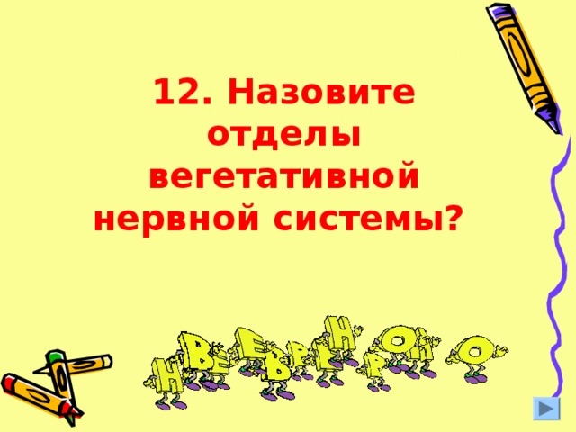 12. Назовите отделы вегетативной нервной системы?  