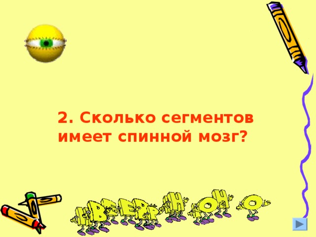  2. Сколько сегментов имеет спинной мозг? 