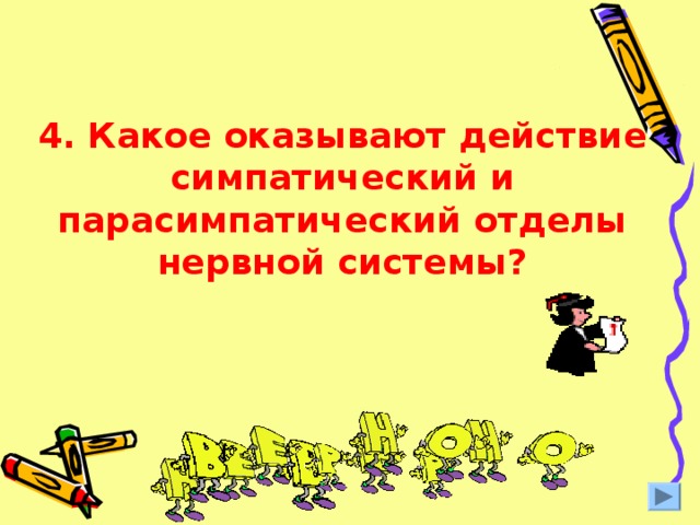 4. Какое оказывают действие симпатический и парасимпатический отделы нервной системы? 