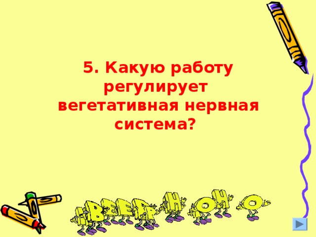 5. Какую работу регулирует вегетативная нервная система? 