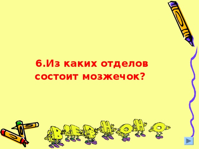 6.Из каких отделов состоит мозжечок?  