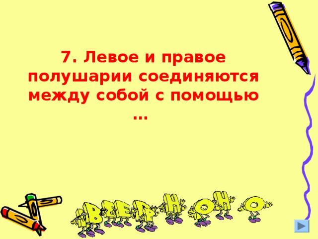 7. Левое и правое полушарии соединяются между собой с помощью … 