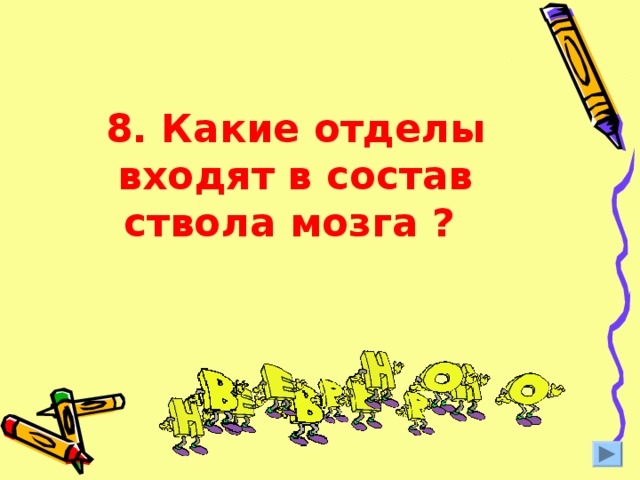 8. Какие отделы входят в состав ствола мозга ?  