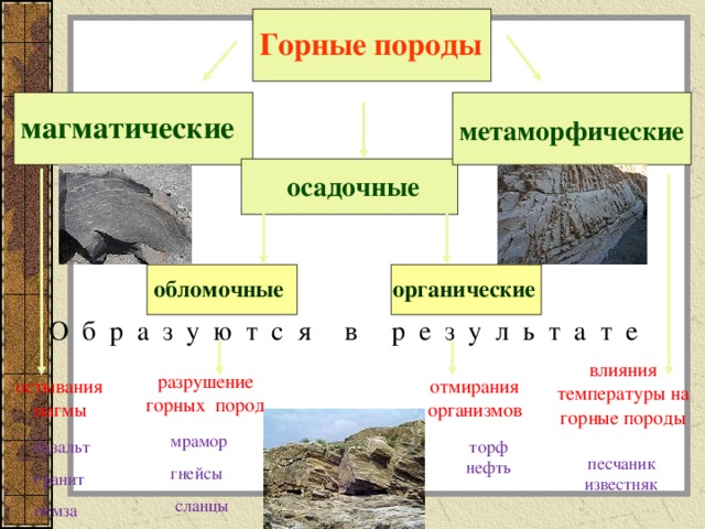 Какая из перечисленных горных пород является осадочной