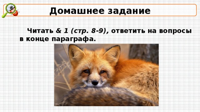 Домашнее задание  Читать & 1 (стр. 8-9), ответить на вопросы в конце параграфа. 