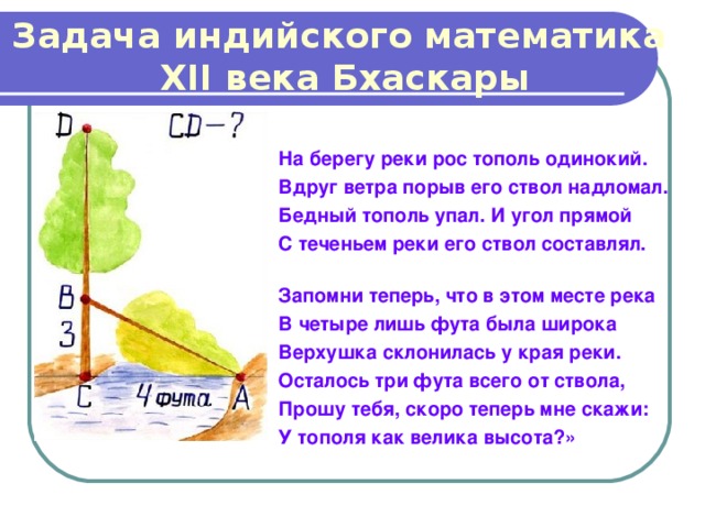 Задача индийского математика  XII века Бхаскары  На берегу реки рос тополь одинокий. Вдруг ветра порыв его ствол надломал. Бедный тополь упал. И угол прямой С теченьем реки его ствол составлял. Запомни теперь, что в этом месте река В четыре лишь фута была широка Верхушка склонилась у края реки. Осталось три фута всего от ствола, Прошу тебя, скоро теперь мне скажи: У тополя как велика высота?» 