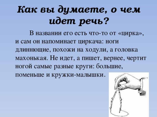 Как вы думаете, о чем идет речь?  В названии его есть что-то от «цирка», и сам он напоминает циркача: ноги длиннющие, похожи на ходули, а головка махонькая. Не идет, а пишет, вернее, чертит ногой самые разные круги: большие, поменьше и кружки-малышки . 