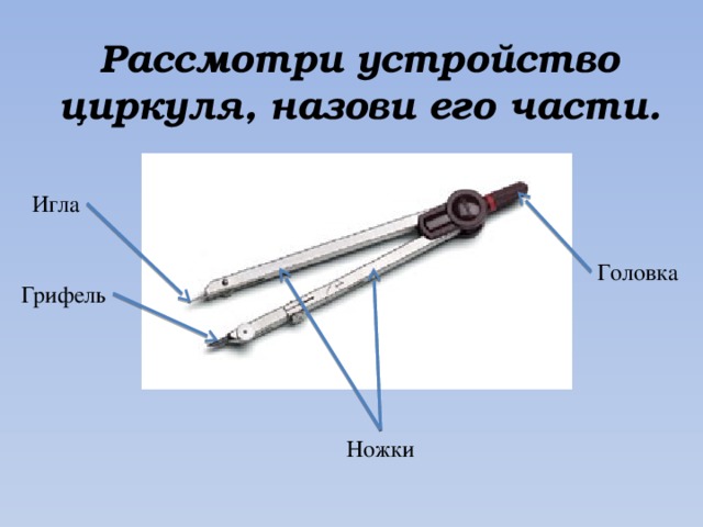 Все о циркуле презентация