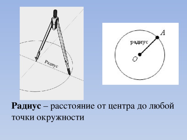 Радиус Радиус – расстояние от центра до любой точки окружности 