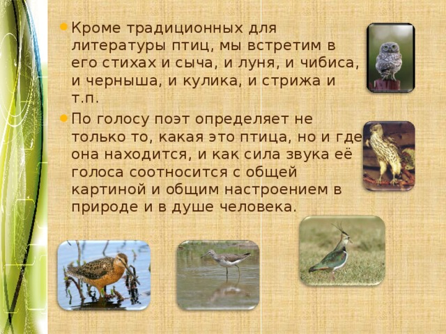 Кроме традиционных для литературы птиц, мы встретим в его стихах и сыча, и луня, и чибиса, и черныша, и кулика, и стрижа и т.п. По голосу поэт определяет не только то, какая это птица, но и где она находится, и как сила звука её голоса соотносится с общей картиной и общим настроением в природе и в душе человека. 