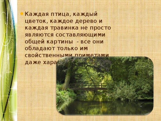 Каждая птица, каждый цветок, каждое дерево и каждая травинка не просто являются составляющими общей картины - все они обладают только им свойственными приметами, даже характером. 