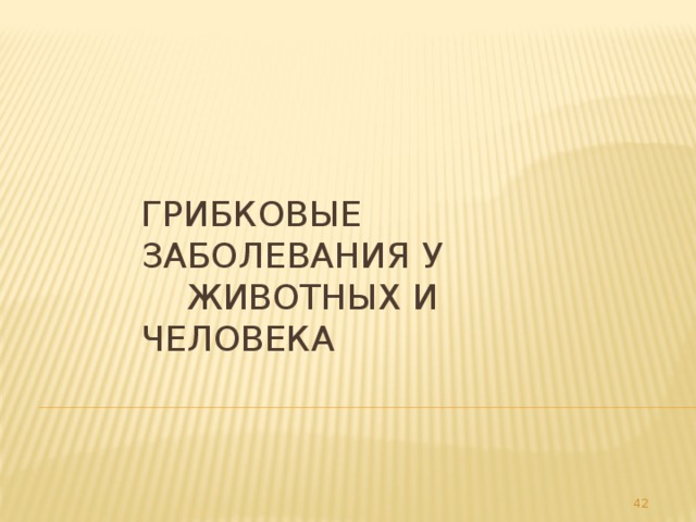 Грибковые заболевания у  животных и человека 32 