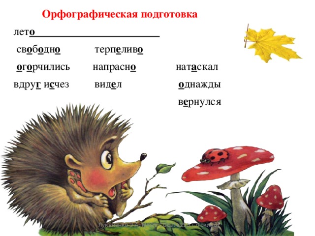  Орфографическая подготовка лет о  св о б о дн о  терп е лив о   о г о рчились напрасн о нат а скал вдру г и с чез вид е л о днажды   в е рнулся Лукяненко Э.А. МКОУ СОШ №256 г.Фокино 