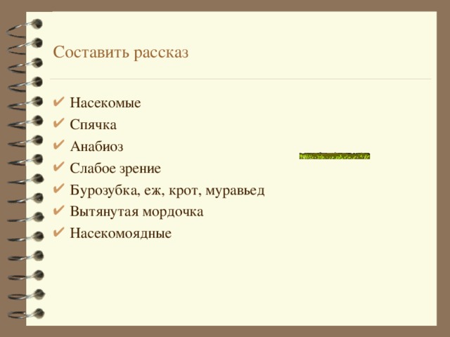 Составить рассказ Насекомые Спячка Анабиоз Слабое зрение Бурозубка, еж, крот, муравьед Вытянутая мордочка Насекомоядные  