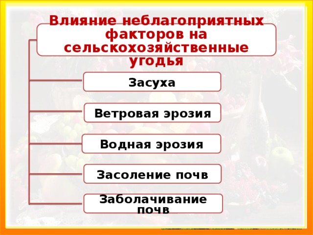 Мелиорация - Влияние неблагоприятных факторов на сельскохозяйственные угодья система мероприятий, направленных на улучшение земель с целью эффективного их использования: осушение, обводнение, внесение минеральных удобрений, снегозадержание, закрытие влаги, лесонасаждение, закрепление песков. Засуха Ветровая эрозия Водная эрозия Засоление почв Заболачивание почв 